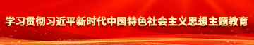 操逼逼综合学习贯彻习近平新时代中国特色社会主义思想主题教育